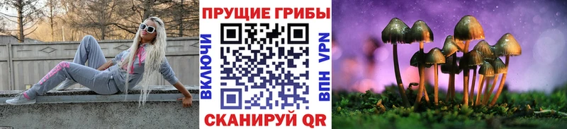МЕГА ТОР  Дмитриев  Галлюциногенные грибы мухоморы 